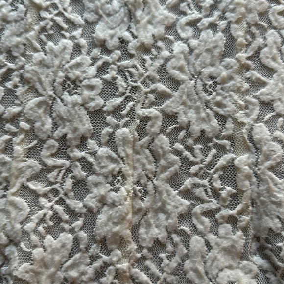 Sexy Top by Joes Jeans with a sheer upper half/sleeves and lace bottom size XS - Picture 3 of 7